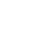 VIP Transport Basel